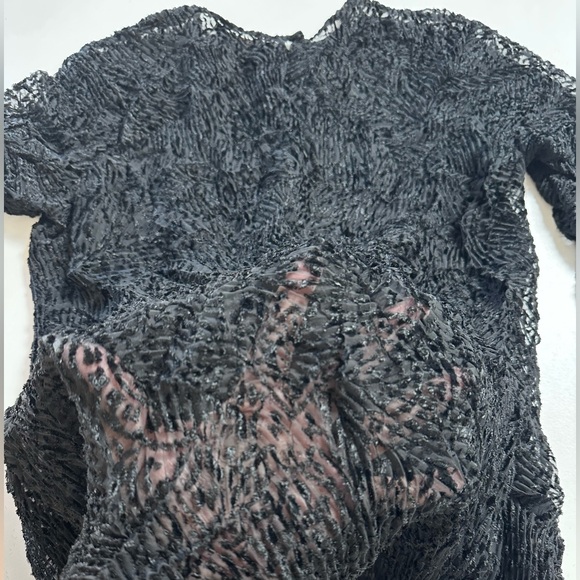 Vintage 90s Sheer + Velvet Crinkle Pleat Top - Picture 4 of 4